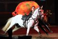 Apassionata_2014    104